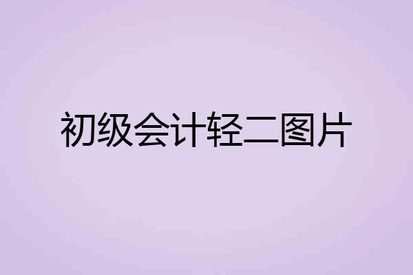 初级会计轻二图片