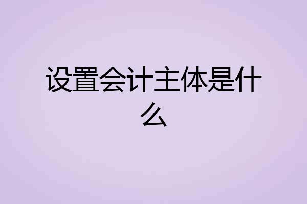 设置会计主体是什么