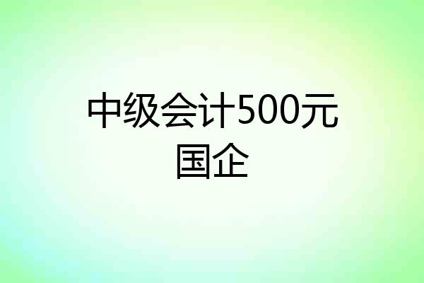中级会计500元国企