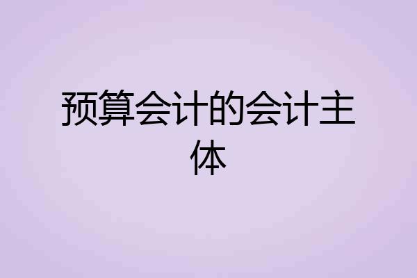 预算会计的会计主体