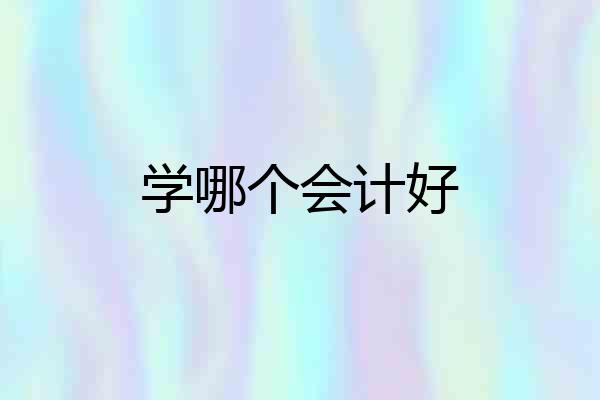 学哪个会计好