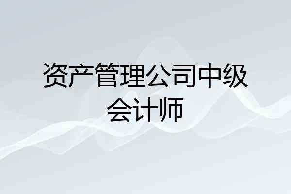 资产管理公司中级会计师