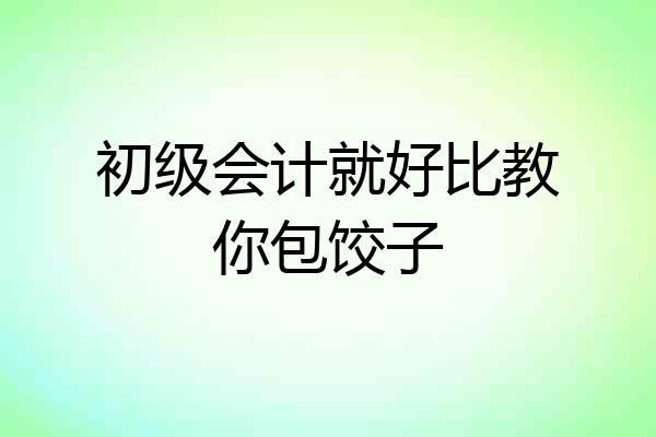 初级会计就好比教你包饺子