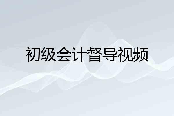 初级会计督导视频