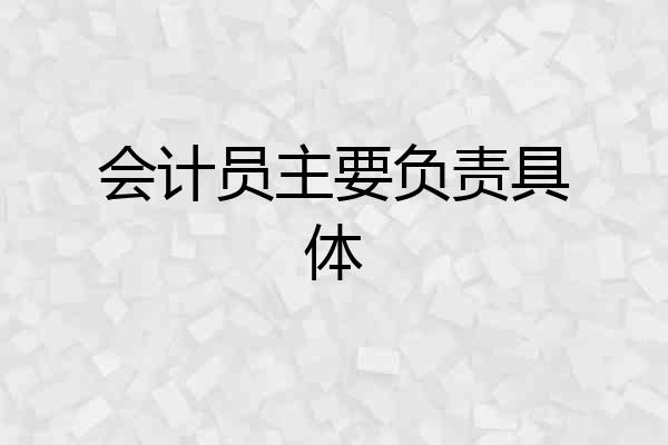 会计员主要负责具体
