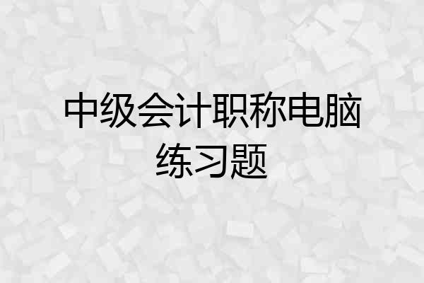 中级会计职称电脑练习题