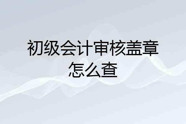 初级会计审核盖章怎么查