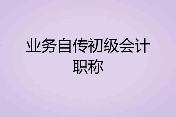 业务自传初级会计职称