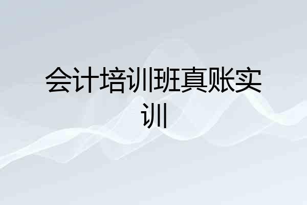 会计培训班真账实训