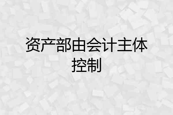 资产部由会计主体控制
