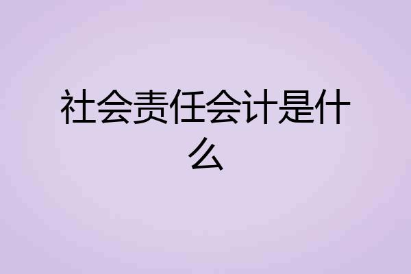 社会责任会计是什么