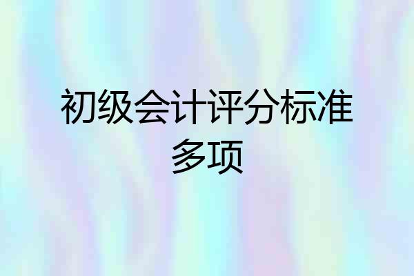 初级会计评分标准多项