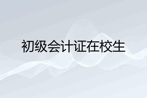 初级会计证在校生