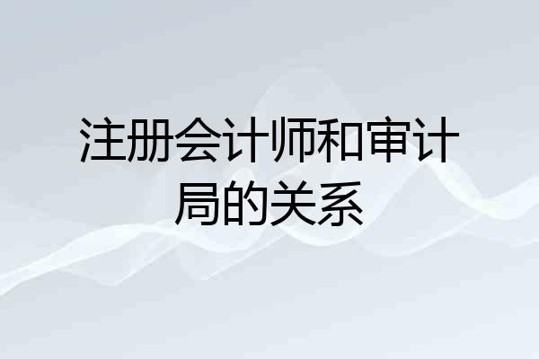 注册会计师和审计局的关系
