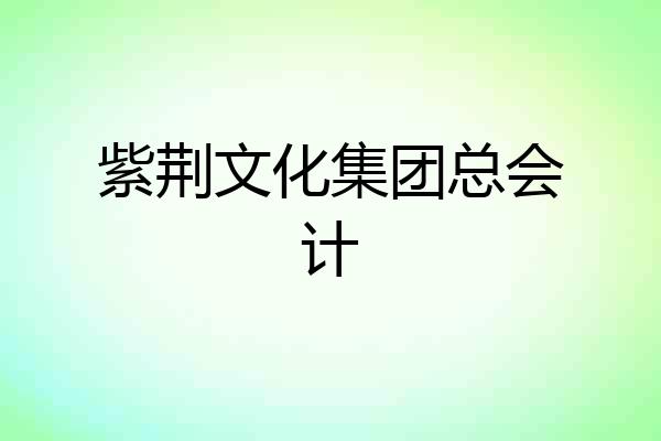紫荆文化集团总会计