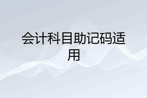 会计科目助记码适用