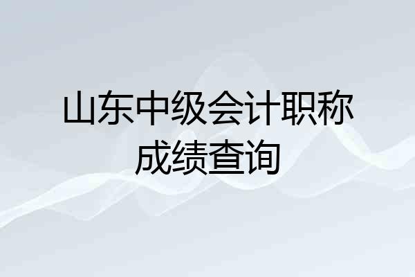 山东中级会计职称成绩查询