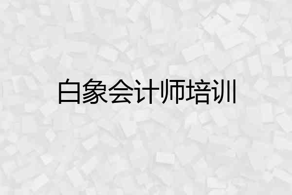 白象会计师培训