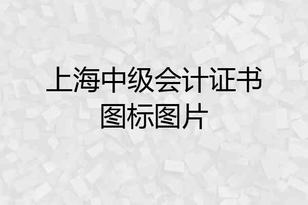 上海中级会计证书图标图片