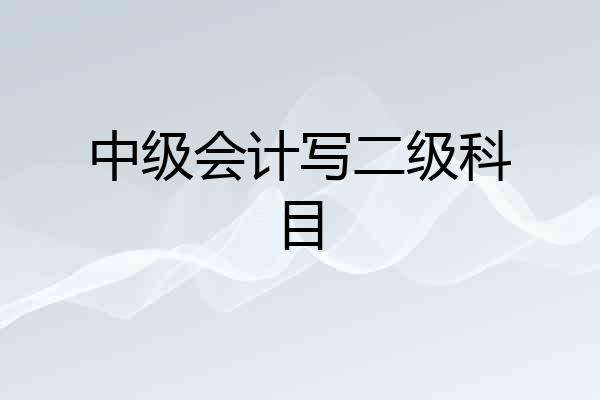 中级会计写二级科目