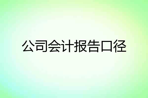 公司会计报告口径