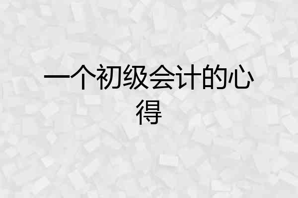 一个初级会计的心得