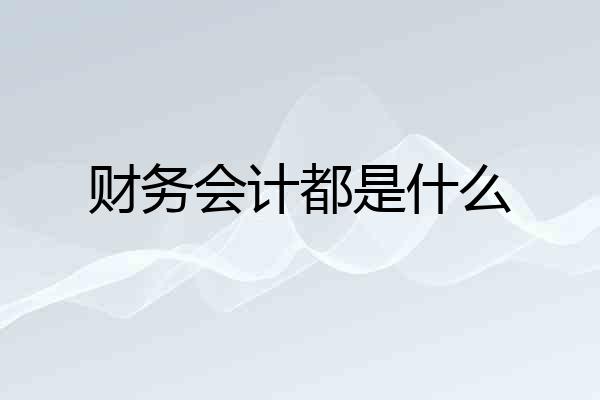 财务会计都是什么