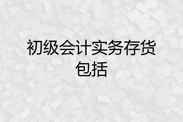 初级会计实务存货包括