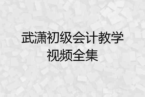 武潇初级会计教学视频全集