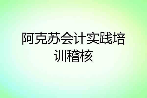阿克苏会计实践培训稽核