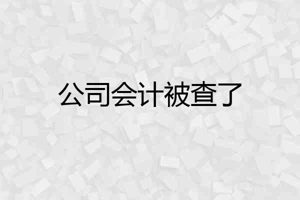 公司会计被查了
