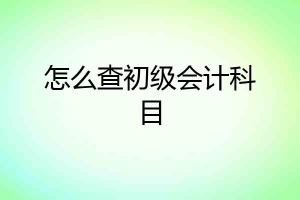 怎么查初级会计科目