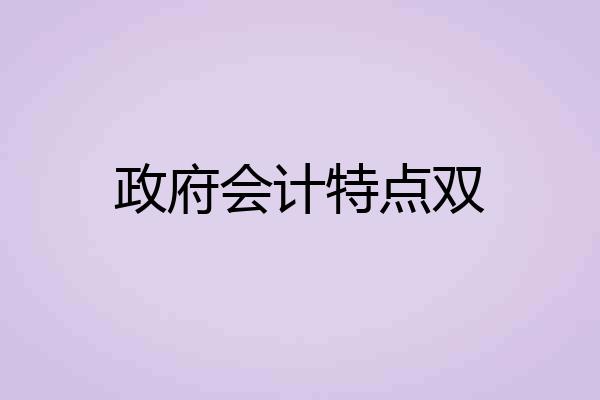 政府会计特点双