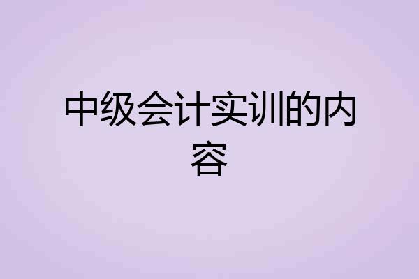 中级会计实训的内容