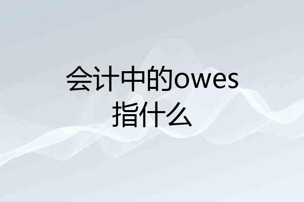 会计中的owes指什么