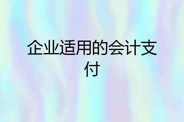 企业适用的会计支付