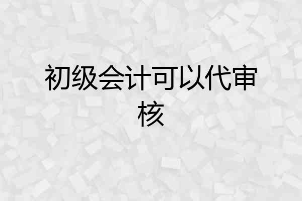 初级会计可以代审核