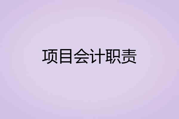 项目会计职责