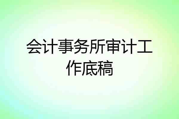 会计事务所审计工作底稿