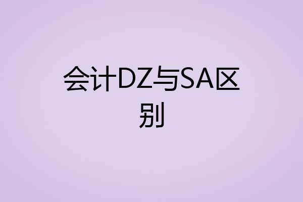 会计DZ与SA区别