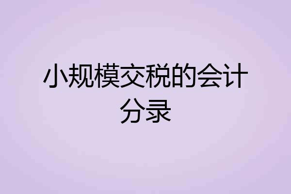 小规模交税的会计分录