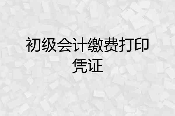 初级会计缴费打印凭证