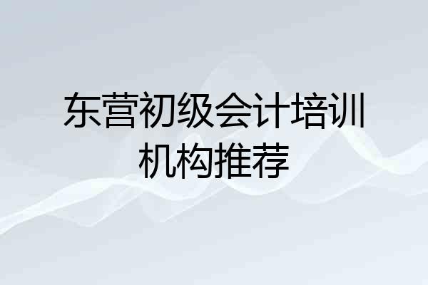 东营初级会计培训机构推荐
