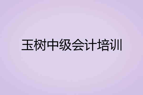 玉树中级会计培训