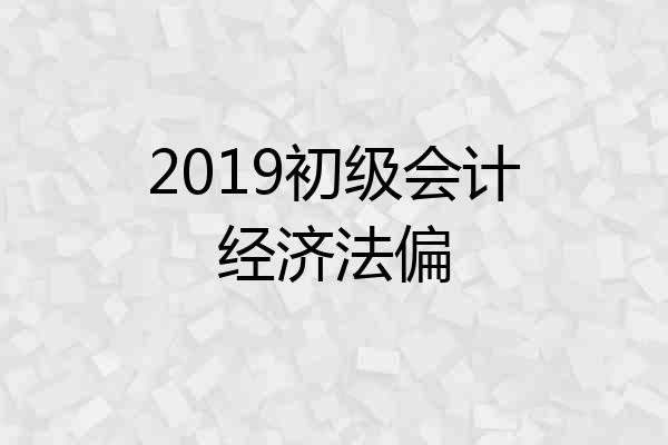 2019初级会计经济法偏