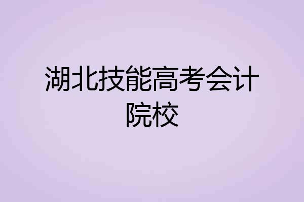 湖北技能高考会计院校