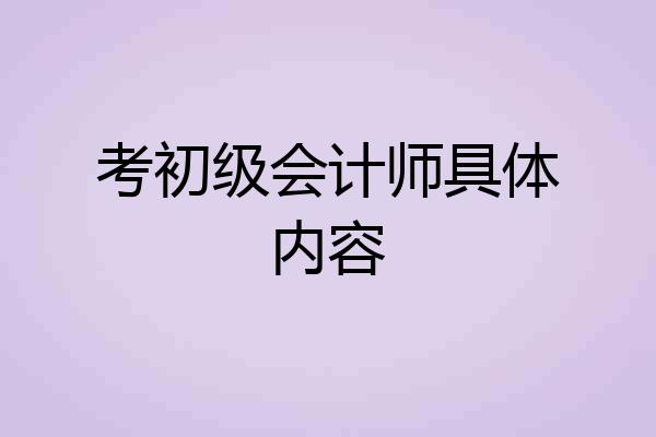 考初级会计师具体内容