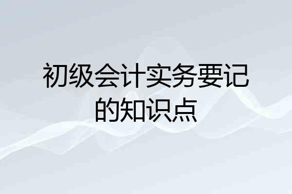 初级会计实务要记的知识点