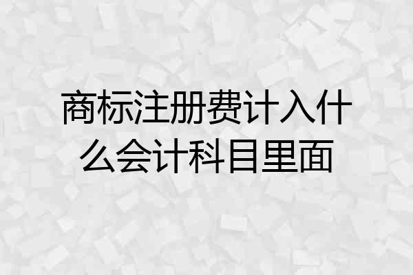 商标注册费计入什么会计科目里面