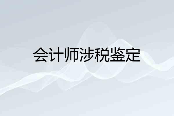 会计师涉税鉴定
